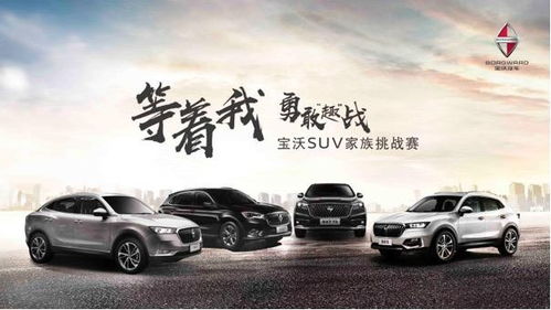 集团全面发力，宝沃汽车销售进入高速良性发展阶段